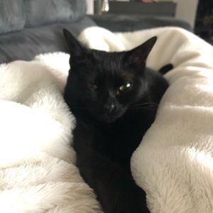 Meet your Posher, Jaedyn